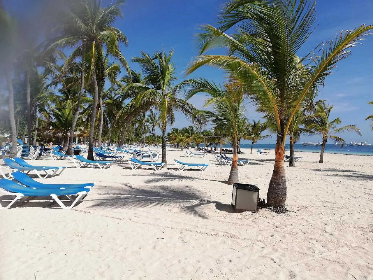 Lägenhet Ifa Villas Bavaro Villa Carmen Punta Cana